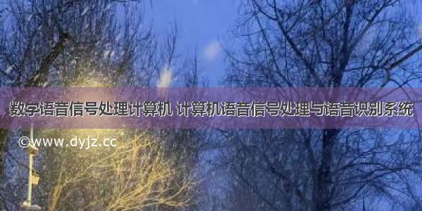 数字语音信号处理计算机 计算机语音信号处理与语音识别系统