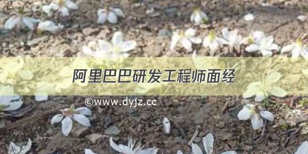 阿里巴巴研发工程师面经