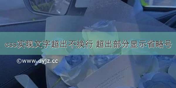 css实现文字超出不换行 超出部分显示省略号