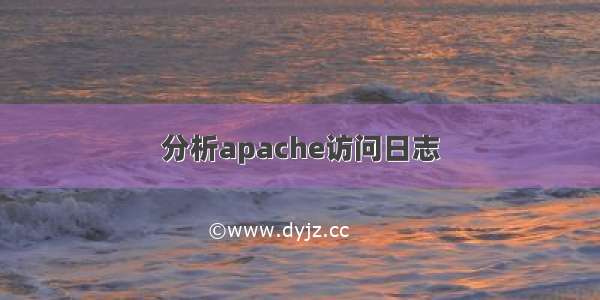 分析apache访问日志