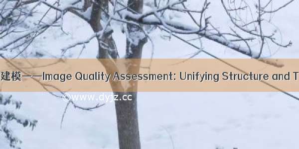 图像质量评价：感知建模——Image Quality Assessment: Unifying Structure and Texture Similarit