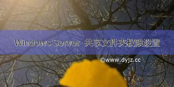 Windows Server  共享文件夹权限设置