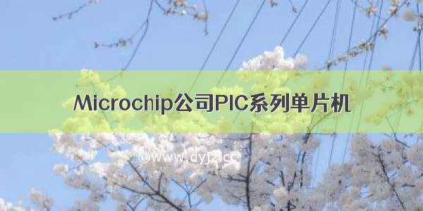 Microchip公司PIC系列单片机