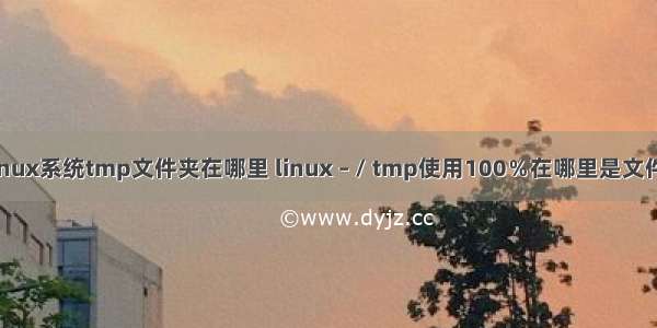 linux系统tmp文件夹在哪里 linux – / tmp使用100％在哪里是文件？