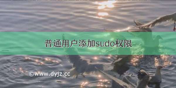 普通用户添加sudo权限