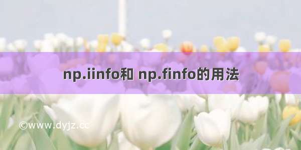 np.iinfo和 np.finfo的用法