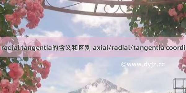 【fluent】axial radial tangentia的含义和区别 axial/radial/tangentia coordination表达的意义