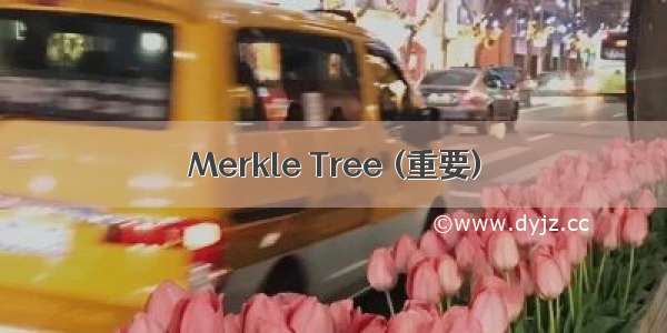 Merkle Tree (重要)