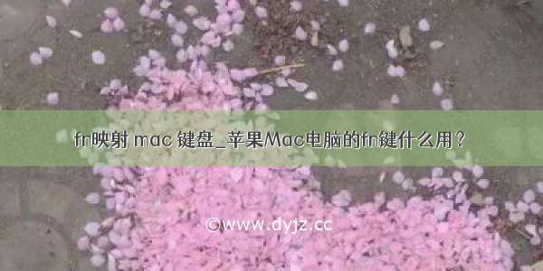 fn映射 mac 键盘_苹果Mac电脑的fn键什么用？