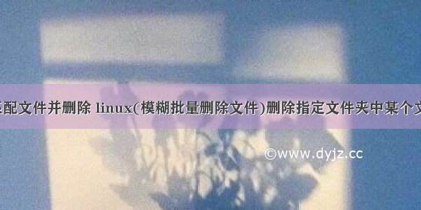 linux模糊匹配文件并删除 linux(模糊批量删除文件)删除指定文件夹中某个文件除外的其