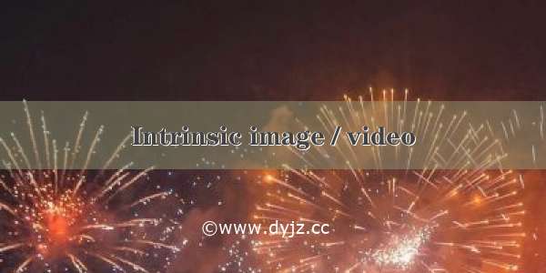 Intrinsic image / video