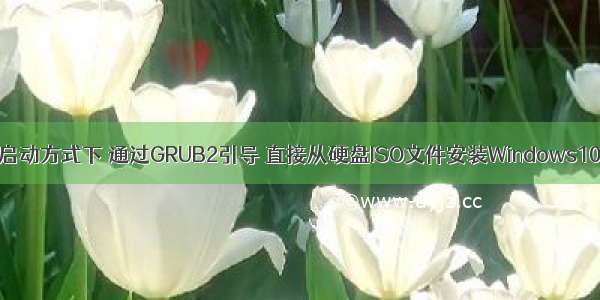 【教程】在UEFI启动方式下 通过GRUB2引导 直接从硬盘ISO文件安装Windows10和Ubuntu双系统