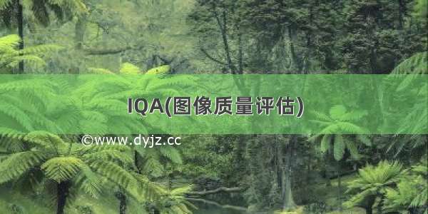 IQA(图像质量评估)