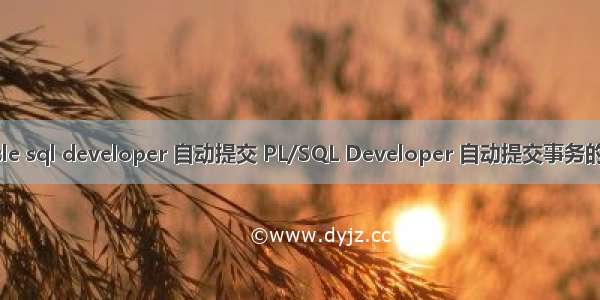 oracle sql developer 自动提交 PL/SQL Developer 自动提交事务的设置