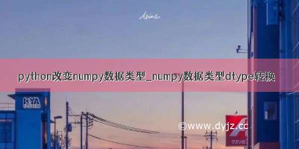 python改变numpy数据类型_numpy数据类型dtype转换