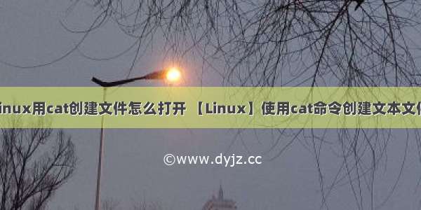 linux用cat创建文件怎么打开 【Linux】使用cat命令创建文本文件