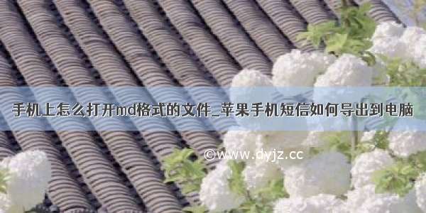 手机上怎么打开md格式的文件_苹果手机短信如何导出到电脑