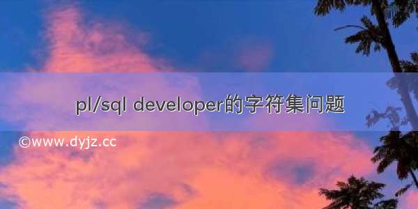 pl/sql developer的字符集问题