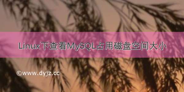 Linux下查看MySQL占用磁盘空间大小