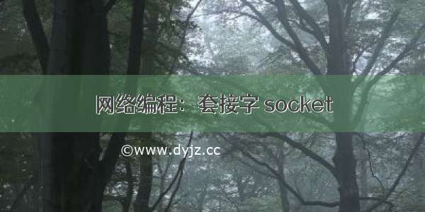 网络编程：套接字 socket