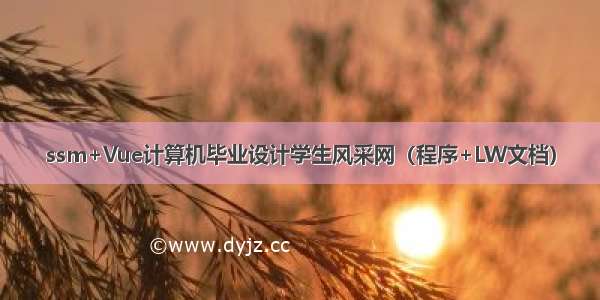 ssm+Vue计算机毕业设计学生风采网（程序+LW文档）