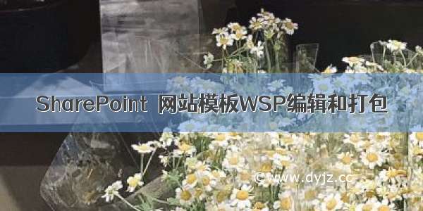 SharePoint  网站模板WSP编辑和打包