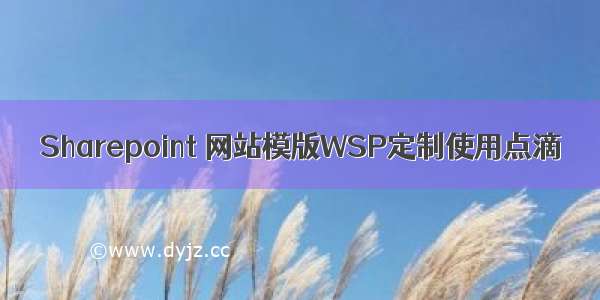 Sharepoint 网站模版WSP定制使用点滴