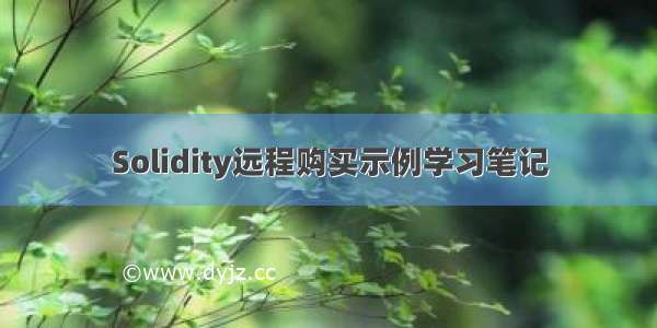 Solidity远程购买示例学习笔记