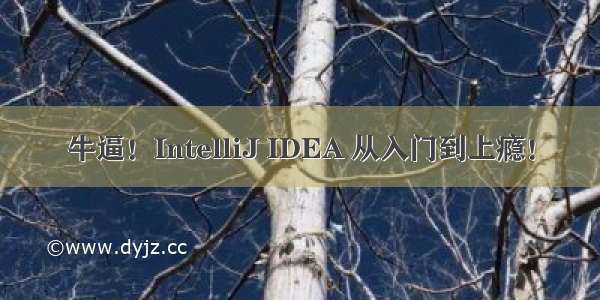 牛逼！IntelliJ IDEA 从入门到上瘾！