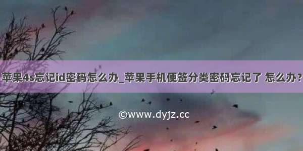 苹果4s忘记id密码怎么办_苹果手机便签分类密码忘记了 怎么办？