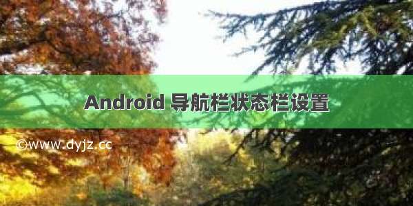 Android 导航栏状态栏设置