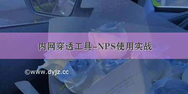 内网穿透工具-NPS使用实战