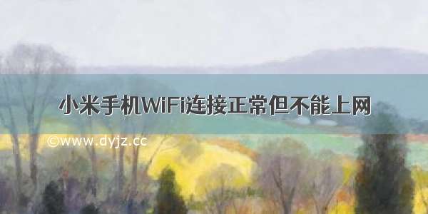 小米手机WiFi连接正常但不能上网