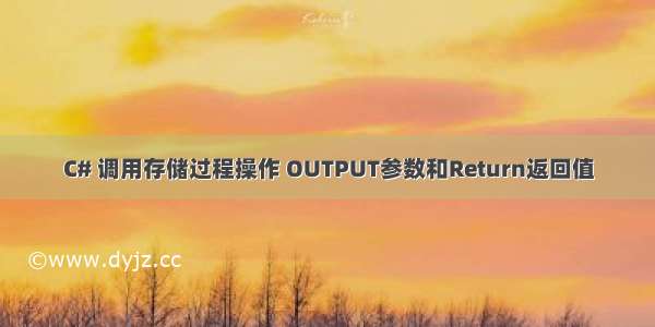 C# 调用存储过程操作 OUTPUT参数和Return返回值