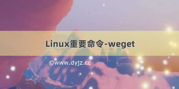 Linux重要命令-weget