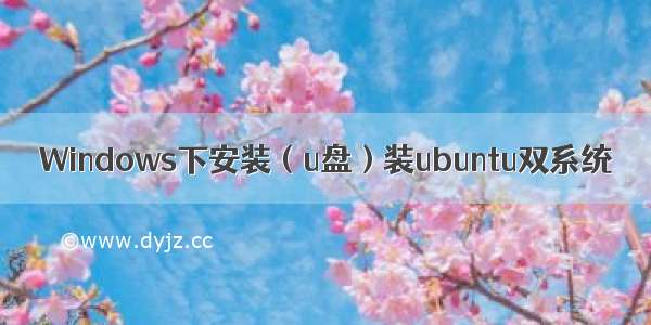 Windows下安装（u盘）装ubuntu双系统