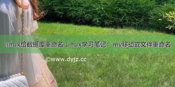 linux给数据库重命名 Linux学习笔记：mv移动或文件重命名