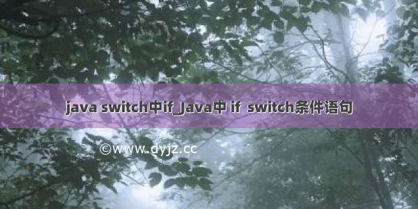 java switch中if_Java中 if  switch条件语句