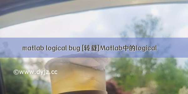 matlab logical bug [转载]Matlab中的logical