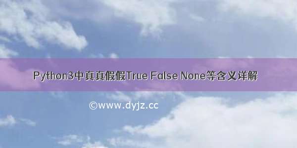 Python3中真真假假True False None等含义详解