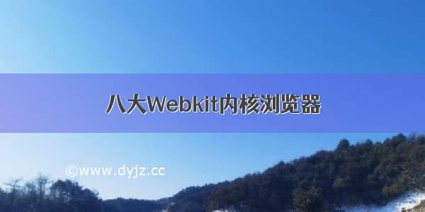 八大Webkit内核浏览器