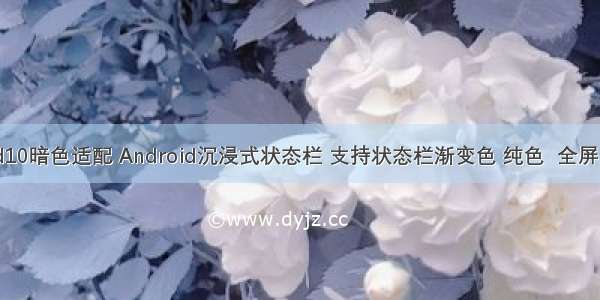 android10暗色适配 Android沉浸式状态栏 支持状态栏渐变色 纯色  全屏 亮光 暗