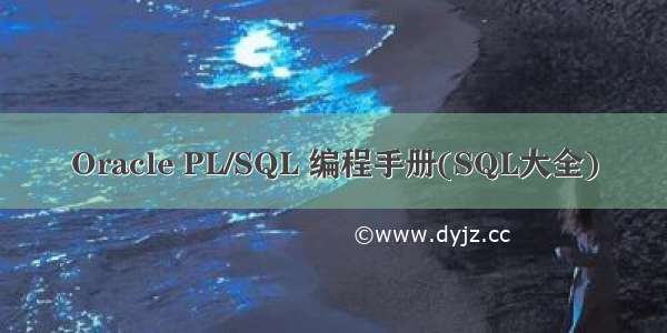 Oracle PL/SQL 编程手册(SQL大全)