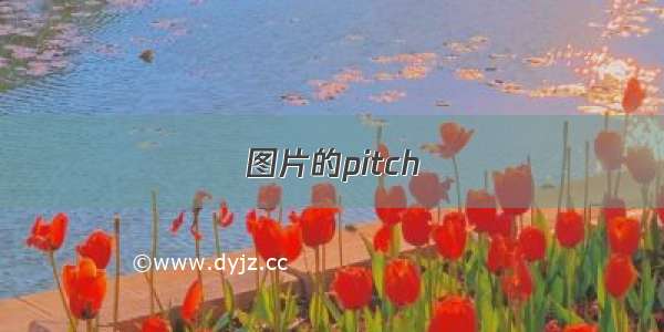 图片的pitch