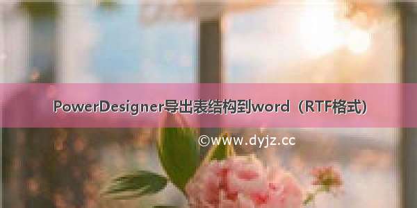 PowerDesigner导出表结构到word（RTF格式）