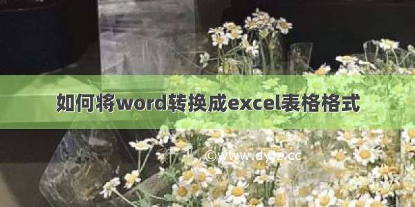 如何将word转换成excel表格格式