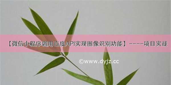 【微信小程序调用百度API实现图像识别功能】----项目实战