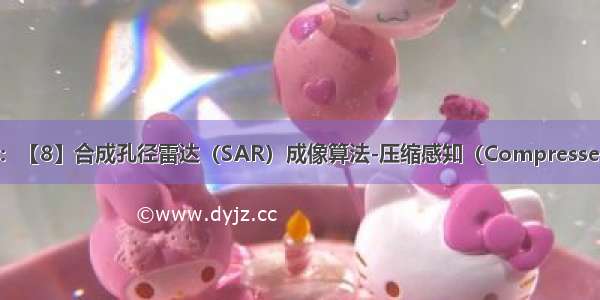 SAR成像系列：【8】合成孔径雷达（SAR）成像算法-压缩感知（Compressed Sensing CS