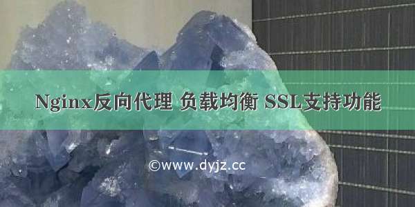 Nginx反向代理 负载均衡 SSL支持功能