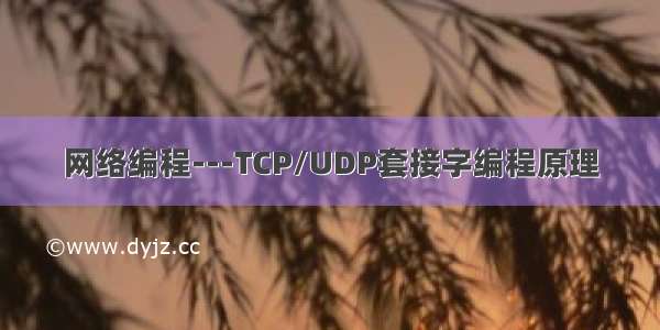 网络编程---TCP/UDP套接字编程原理